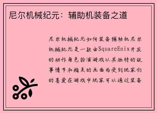尼尔机械纪元：辅助机装备之道